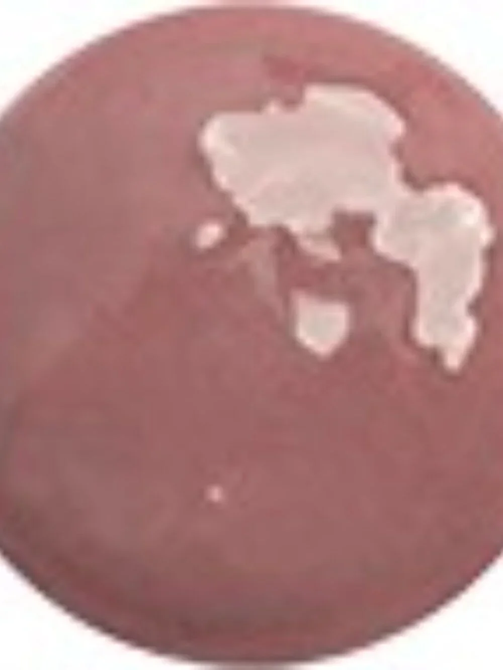 Blush LipSense